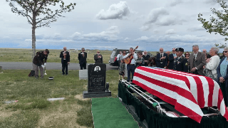 Reflective Musical Tribute
