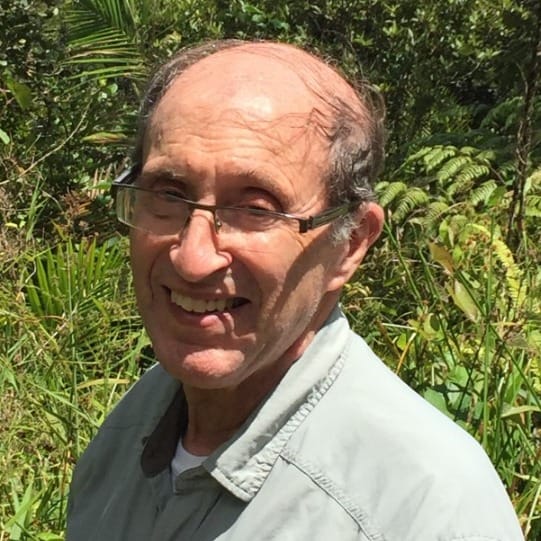 Howard Goldberg