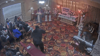 Middle Sister's Poem and Tribute